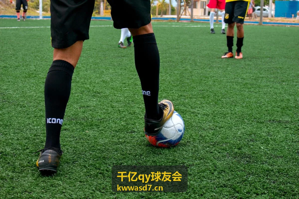 千亿qy球友会新星成长路线图封面
